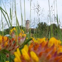 Interreg Italia - Slovenija MEDS GARDEN+