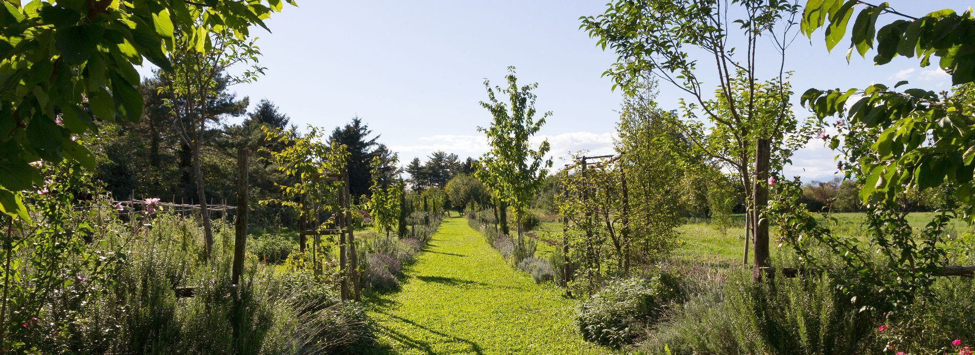 Il Giardino